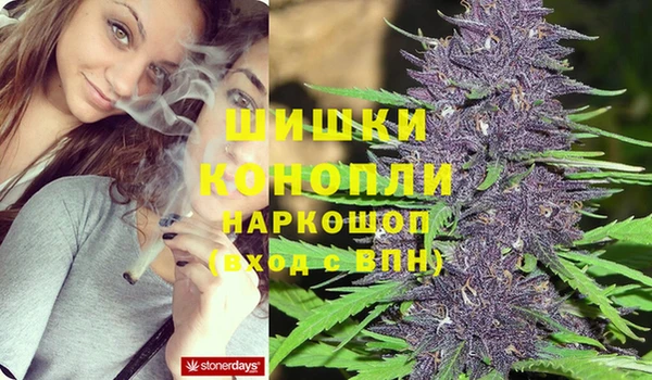 дмт Покровск
