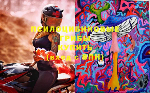 дмт Покровск