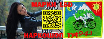 гашик Балашиха