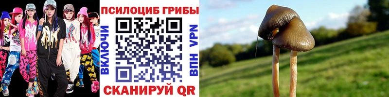 Галлюциногенные грибы прущие грибы  Великие Луки 
