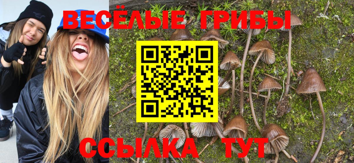 НБОМе Великие Луки