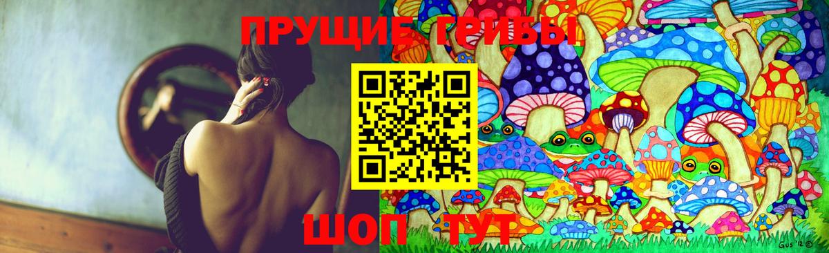 Псилоцибиновые грибы GOLDEN TEACHER Великие Луки