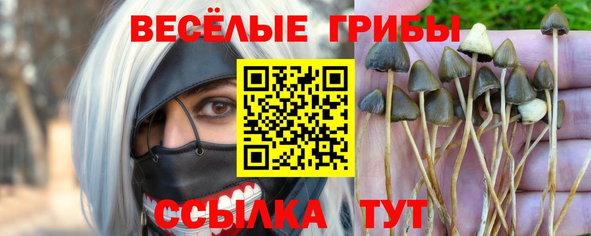 Великие Луки  Галлюциногенные грибы Psilocybine cubensis  Вход с VPN 