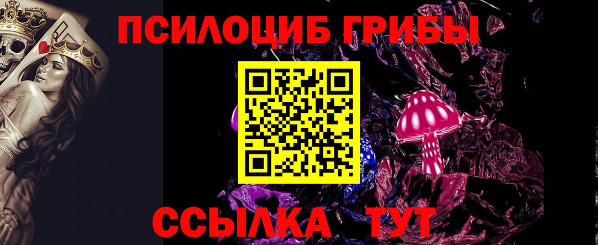 Псилоцибиновые грибы Psilocybine cubensis Великие Луки